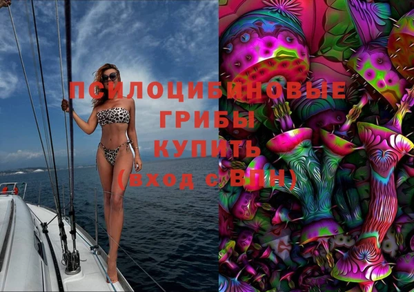 СК Алзамай