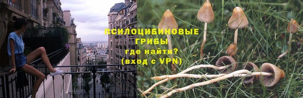 бутират Арсеньев