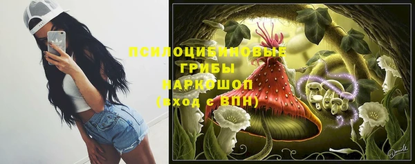 а пвп мука Армянск